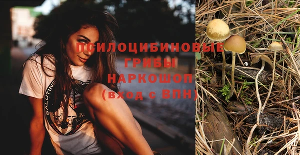 прущий лед Аркадак